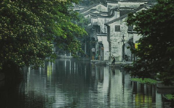 2023的相反数 倒数 绝对值 平方根 算数平方根 立方根？